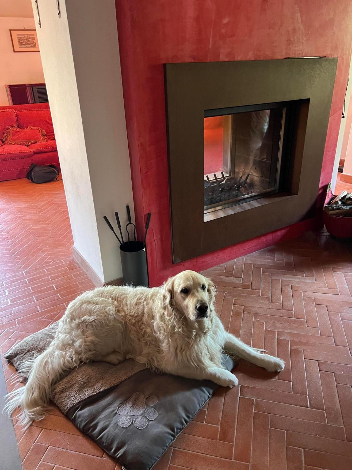 Casa Boru - A Beautiful Fully Restored Spacious House With Fantastic Views Calice al Cornoviglio 외부 사진