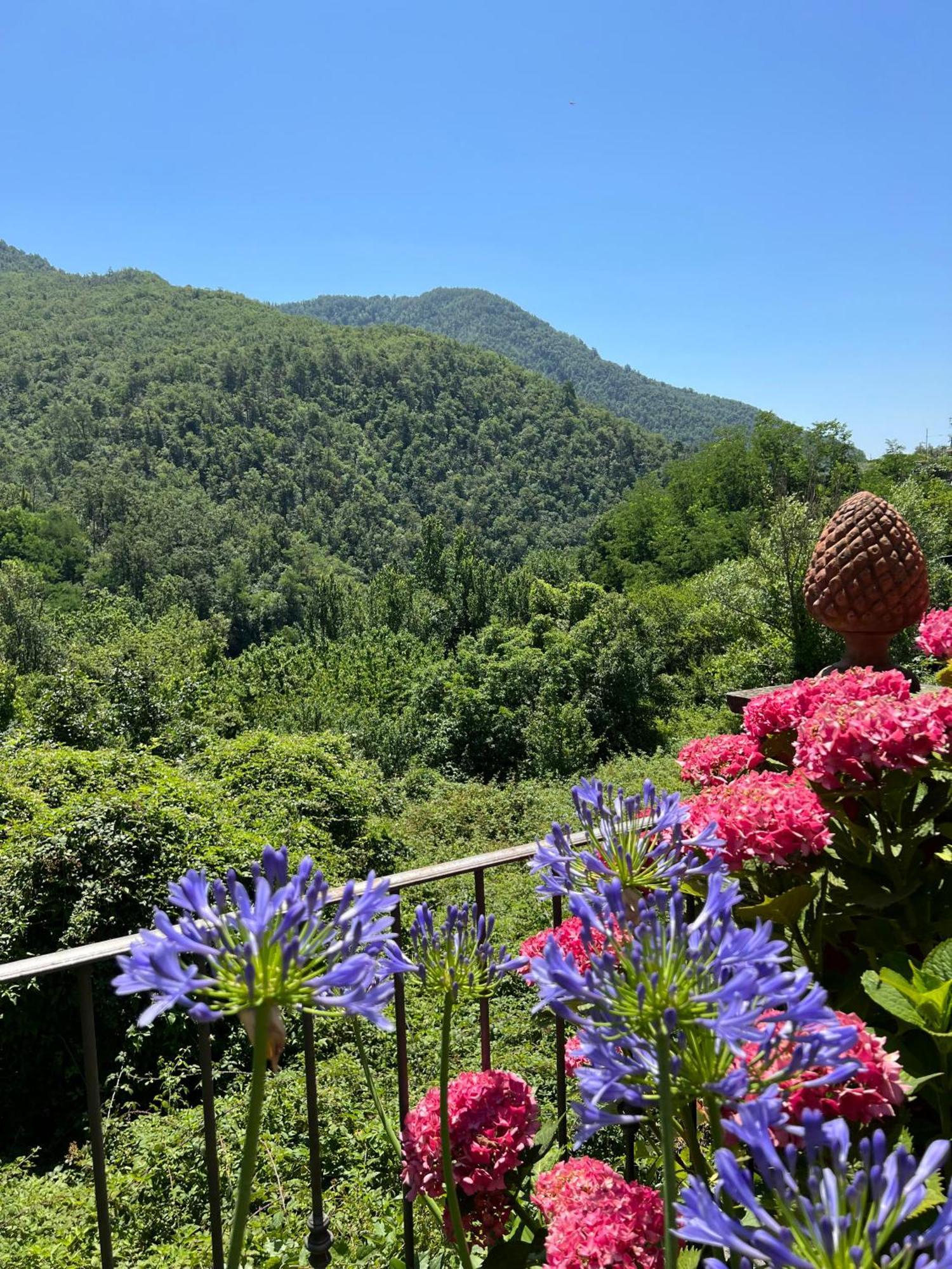 Casa Boru - A Beautiful Fully Restored Spacious House With Fantastic Views Calice al Cornoviglio 외부 사진